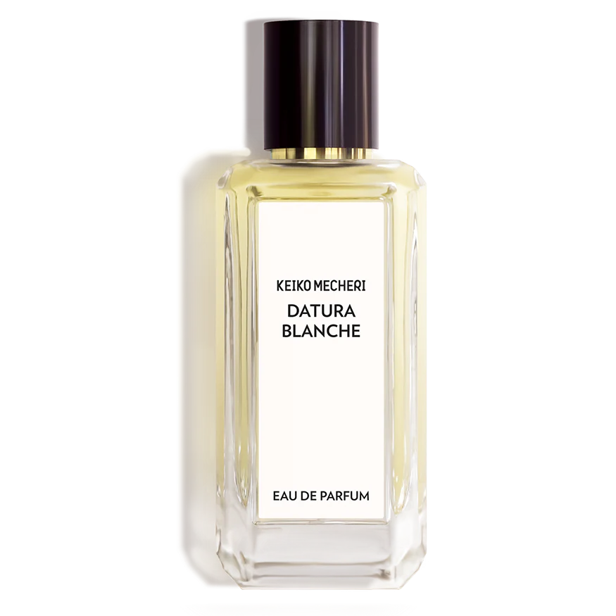 Datura Blanche